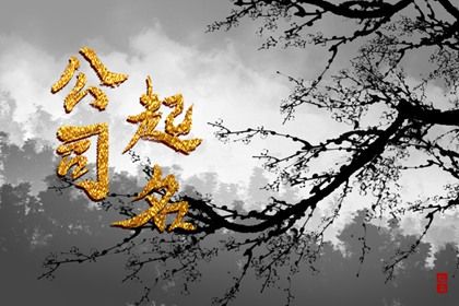 生僻字、网红字要注意什么